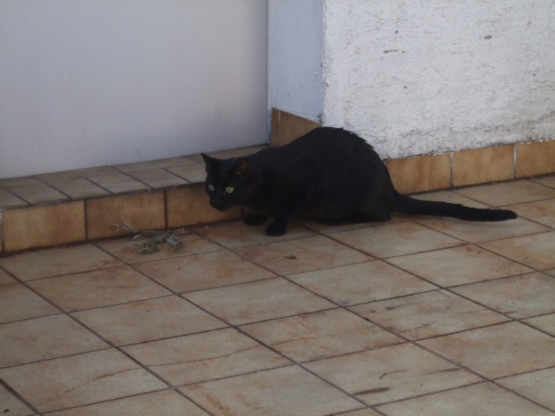 Ostern 2007 Orleshausen 054 